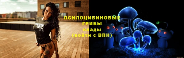 СК Аркадак