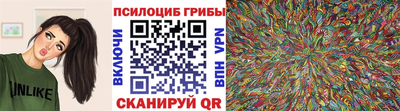 Галлюциногенные грибы Psilocybe  Могоча 